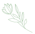images-02