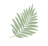 images-03